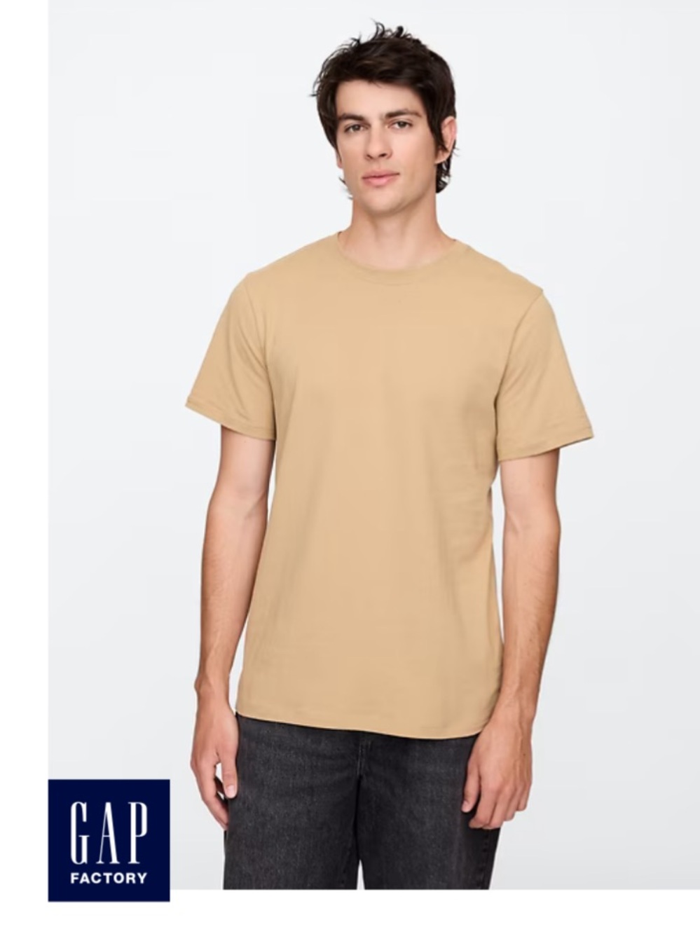 GAP Factory Men's Mojave Tan Crewneck & Navy Stripe Short Sleeve Tees